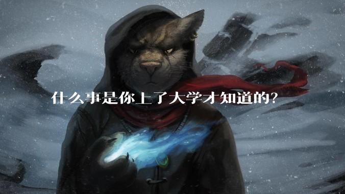 什么事是你上了大学才知道的？